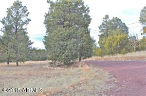 3349 Cedar Dr, Overgaard, AZ 85933 photo 40
