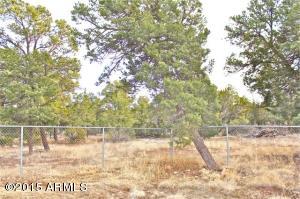 3349 Cedar Dr, Overgaard, AZ 85933 photo 43