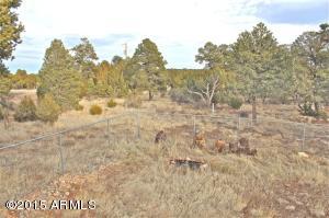 3349 Cedar Dr, Overgaard, AZ 85933 photo 42