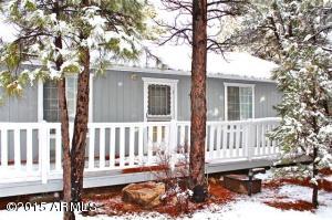 2933 Breezy Pine Dr, Overgaard, AZ 85933 photo 21