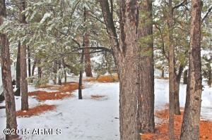 2933 Breezy Pine Dr, Overgaard, AZ 85933 photo 26