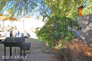 922 E Wahalla Ln, Phoenix, AZ 85024 photo 15