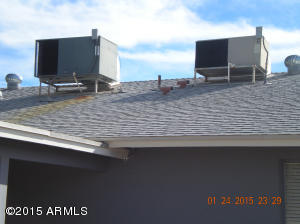 2106 E Watson Dr, Tempe, AZ 85283 photo 37