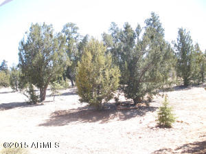 3323 S Fall Court Rd, Heber, AZ 85928 photo 48