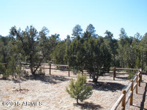 3323 S Fall Court Rd, Heber, AZ 85928 photo 46