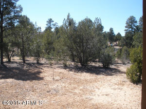 3323 S Fall Court Rd, Heber, AZ 85928 photo 49