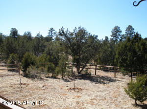 3323 S Fall Court Rd, Heber, AZ 85928 photo 45
