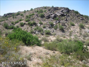 4820 E Winston Dr #1, Phoenix, AZ 85044 photo 43