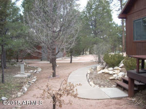 3121 Aspen Rd, Overgaard, AZ 85933 photo 45