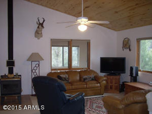 3121 Aspen Rd, Overgaard, AZ 85933 photo 23