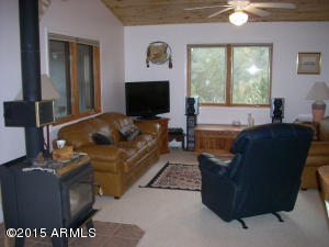 3121 Aspen Rd, Overgaard, AZ 85933 photo 28
