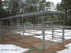 3121 Aspen Rd, Overgaard, AZ 85933 photo 50