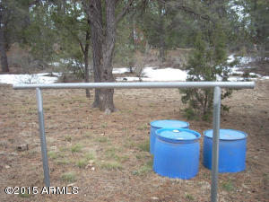 3121 Aspen Rd, Overgaard, AZ 85933 photo 48