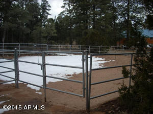 3121 Aspen Rd, Overgaard, AZ 85933 photo 51