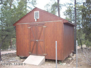 3121 Aspen Rd, Overgaard, AZ 85933 photo 40