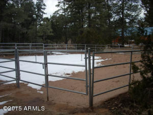 3121 Aspen Rd, Overgaard, AZ 85933 photo 52