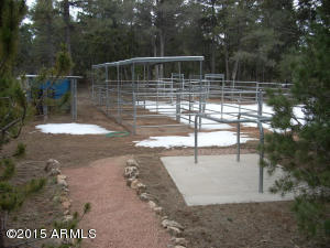 3121 Aspen Rd, Overgaard, AZ 85933 photo 46