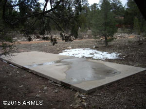 3121 Aspen Rd, Overgaard, AZ 85933 photo 55