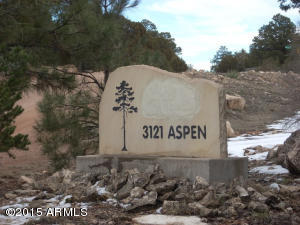 3121 Aspen Rd, Overgaard, AZ 85933 photo 32