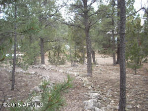 3121 Aspen Rd, Overgaard, AZ 85933 photo 56