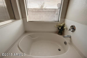 1085 S Pheasant Dr, Gilbert, AZ 85296 photo 29