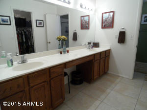4948 E Princess Dr, Mesa, AZ 85205 photo 18