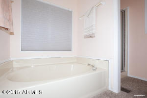 8226 E Dutchman Dr, Mesa, AZ 85208 photo 6