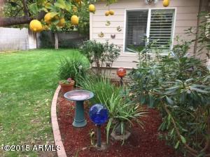 2728 E Highland Ave, Phoenix, AZ 85016 photo 3