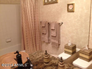 16647 S 33rd St, Phoenix, AZ 85048 photo 14