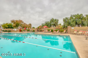 4616 E Apricot Ln, Gilbert, AZ 85298 photo 41