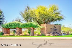 4616 E Apricot Ln, Gilbert, AZ 85298 photo 45