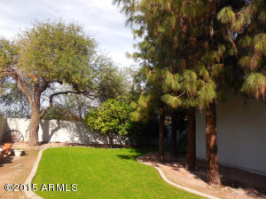 1724 E Mallory St, Mesa, AZ 85203 photo 63