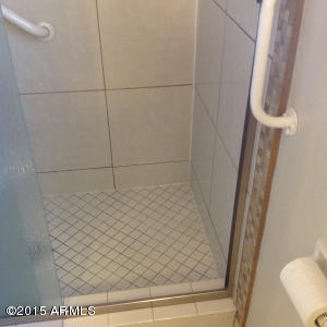 2004 E Watson Dr, Tempe, AZ 85283 photo 10