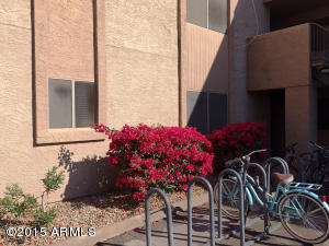 1014 E Spence Ave #110, Tempe, AZ 85281 photo 10