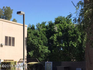 1014 E Spence Ave #110, Tempe, AZ 85281 photo 16