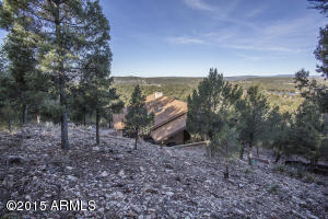 1201 N Arrowhead Dr, Payson, AZ 85541 photo 54