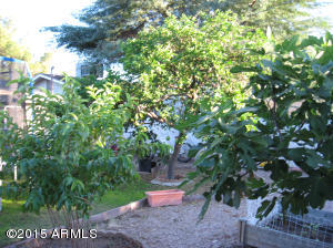 416 Ash --, Mesa, AZ 85201 photo 8