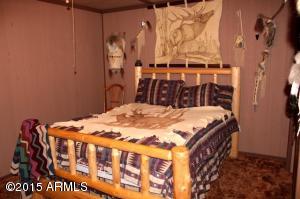 3328 Pine Cone Dr, Overgaard, AZ 85933 photo 8
