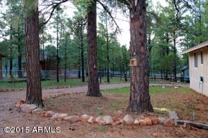 3328 Pine Cone Dr, Overgaard, AZ 85933 photo 21