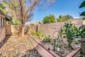 981 E Cullumber St, Gilbert, AZ 85234 photo 23