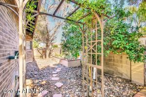 981 E Cullumber St, Gilbert, AZ 85234 photo 22