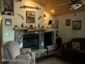 2348 N Buffalo Loop N, Overgaard, AZ 85933 photo 3