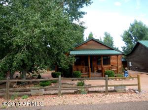2348 N Buffalo Loop N, Overgaard, AZ 85933 photo 2