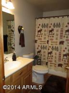 2348 N Buffalo Loop N, Overgaard, AZ 85933 photo 14