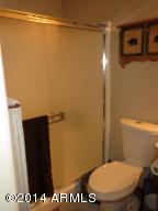 2348 N Buffalo Loop N, Overgaard, AZ 85933 photo 20