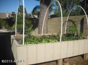 5034 E Salinas St, Phoenix, AZ 85044 photo 38