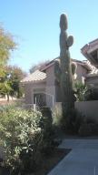 4567 E Apricot Ln, Gilbert, AZ 85298 photo 36