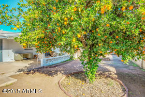 5235 E Adobe Rd, Mesa, AZ 85205 photo 23
