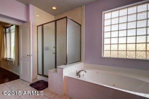 248 E Pinto Ct, Gilbert, AZ 85296 photo 24