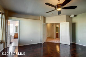 248 E Pinto Ct, Gilbert, AZ 85296 photo 23